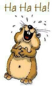 Aqua Society neuer Hype?? 795634