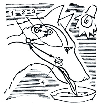 Thema Aeterna Zentaris 904614