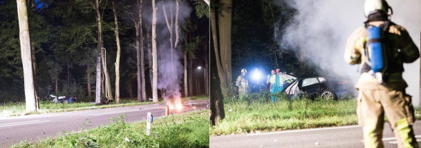 Tesla Model S 22-Jun-2012 die CHANCE 937945