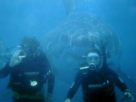 Der USA Bären-Thread 320904