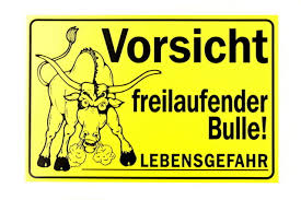 Börse ein Haifischbecken: Trade was du siehst 1211260