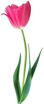 Börse ein Haifischbecken: Trade was du siehst 1234837