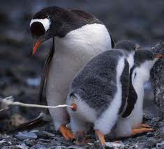 Quo Vadis Dax 2011 - All Time High? 430959