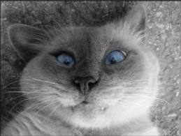 FAST Casualwear AG 661424