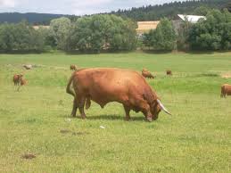 Dax 6000 keine Utopie mehr.... 1027804