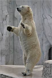 2.410.DAX Tipp-Spiel, Dienstag, 30.09.2014,17.45 H 760595