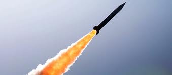 PAION Eine Fledermaus lernt wieder fliegen 695694