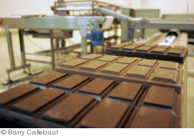 Barry Callebaut 533971