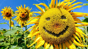 Dax 6000 keine Utopie mehr.... 1274384