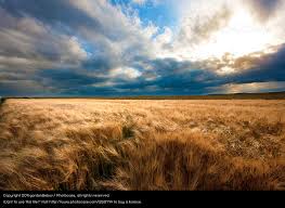 Dax 6000 keine Utopie mehr.... 1021084