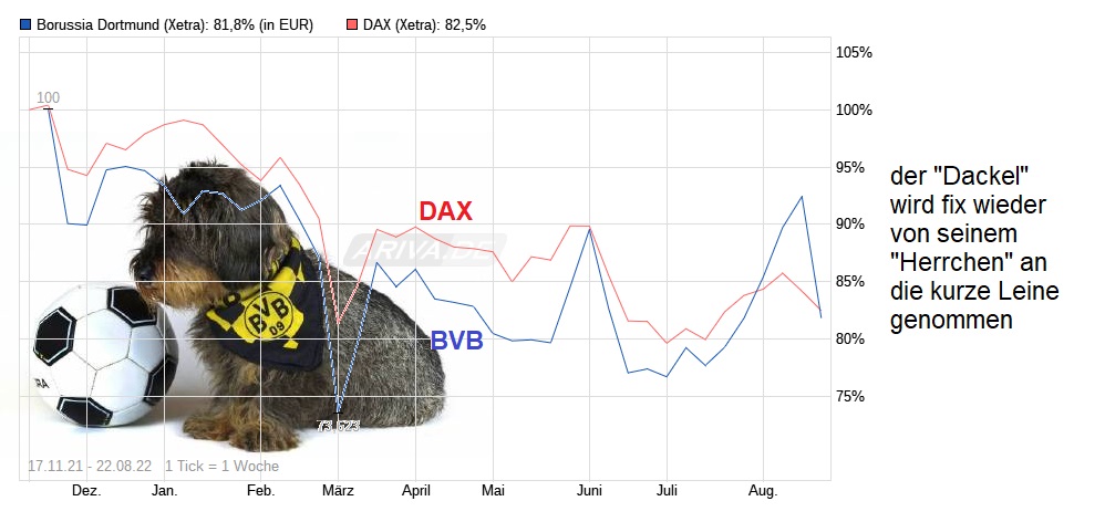 14 Gründe für ein Investment in BVB. 1329334