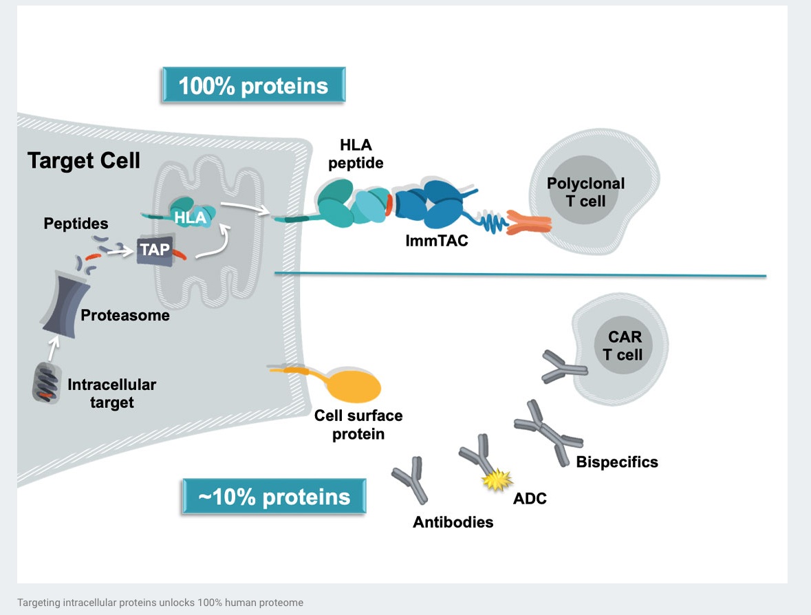 Immunocore Kernkompetenz: 100% Chance fürs Leben 1231428