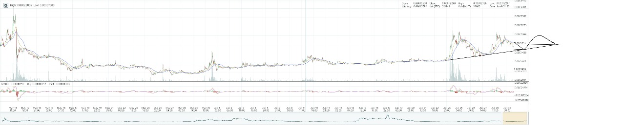 oTToMatic Chartanalyse 998893