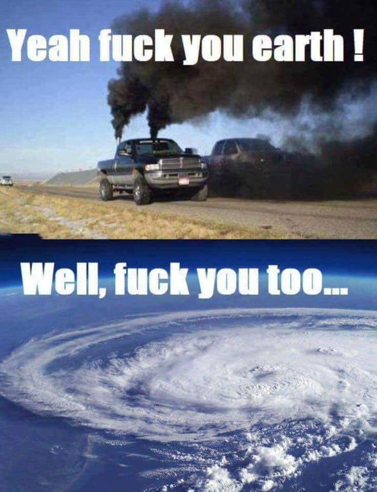 bgf new energy fund A2 eur 1012071