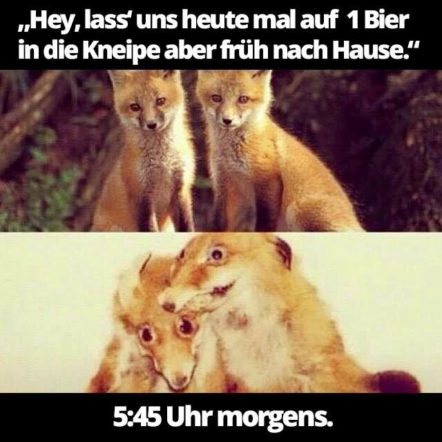 Netcents Technology Thread moderiert A2AFTK 1100362