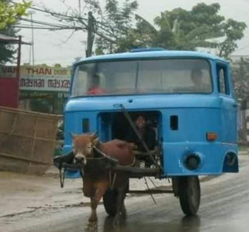 AMC Entertainment Holdings 2.0 - Todamoon?!? 1298535