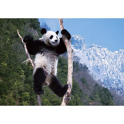 Der nächste Zock der sich anbahnt? 349762