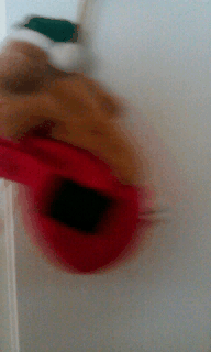 QV ultimate 2012 558365