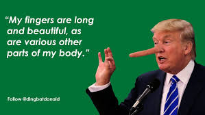 Der USA Bären-Thread 973494