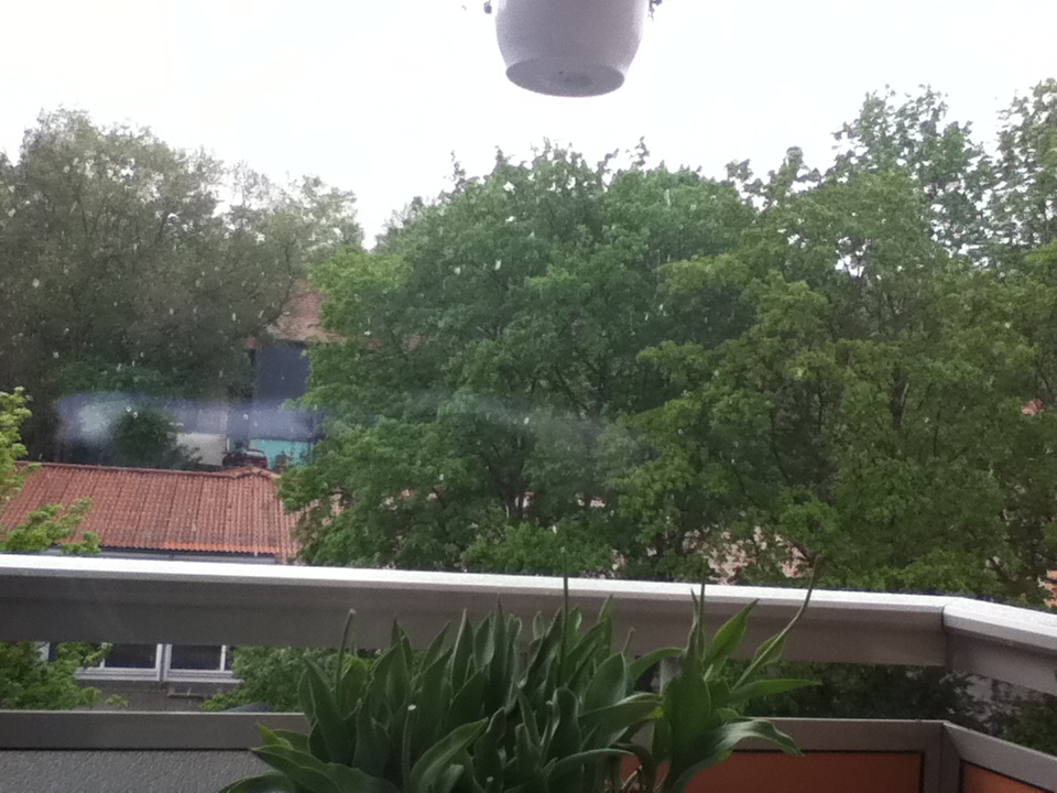 Medigene - Sachliche und fachliche Beiträge 399563