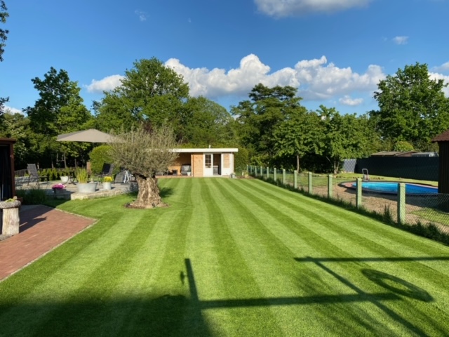 AMC Entertainment Holdings 2.0 - Todamoon?!? 1257891