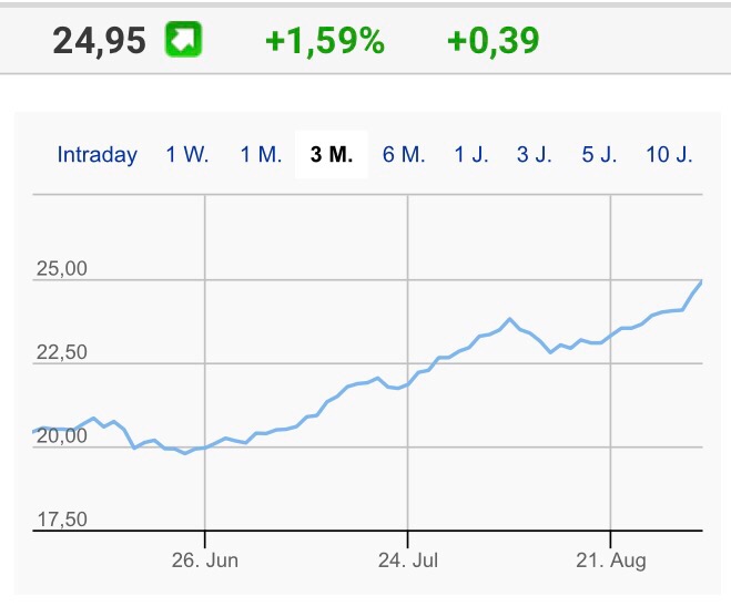 COMMERCE RESOURCES (€ 0,208) 1010483