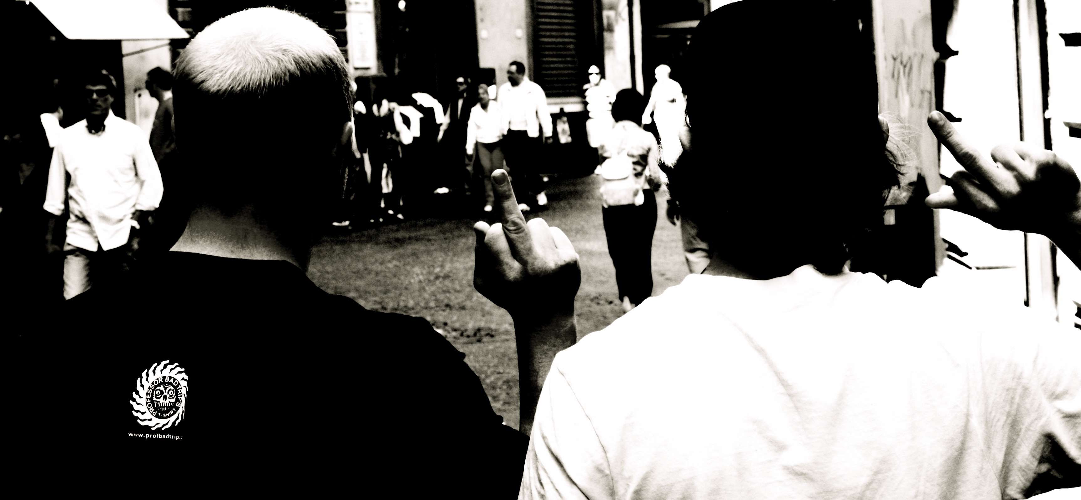 Die Bullen scharren gar nicht mit den Hufen, 183626