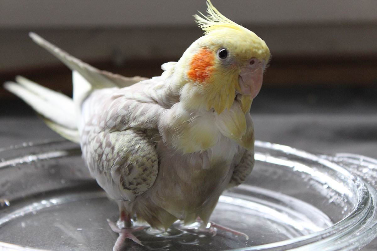 Conergy, Pro und Contra... 356693