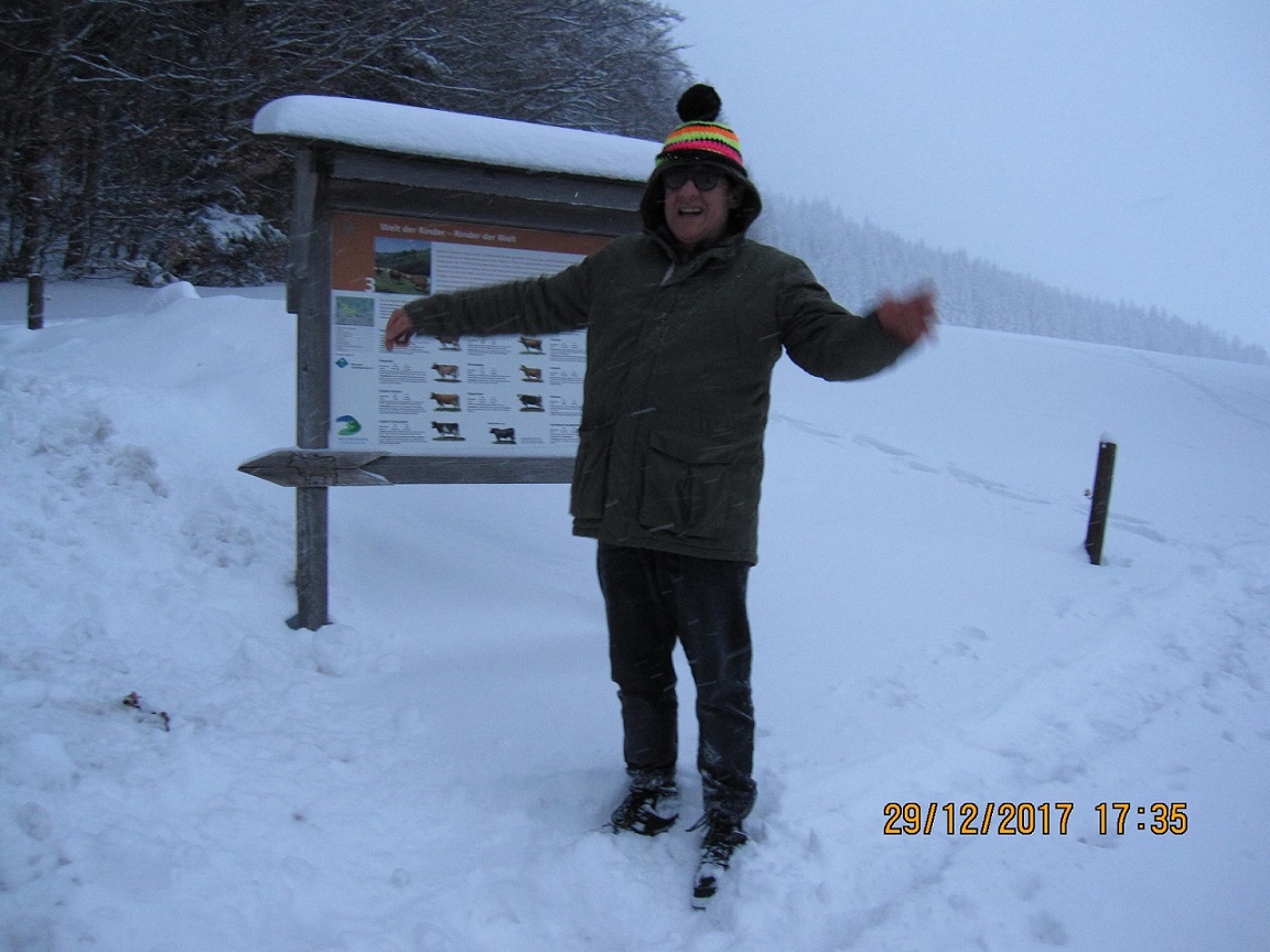 COOP News (ehemals: Wamu /WMIH) 1032236