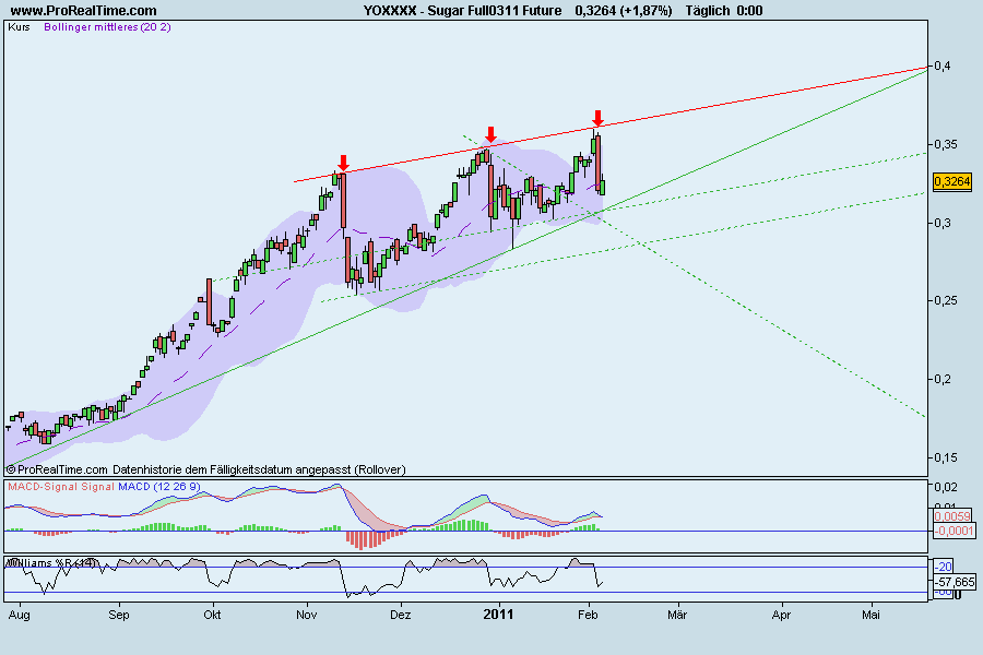 Die Zuckerhausse kommt 378764