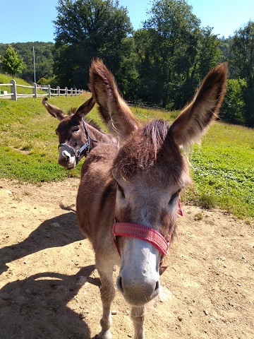 COOP News (ehemals: Wamu /WMIH) 1061825