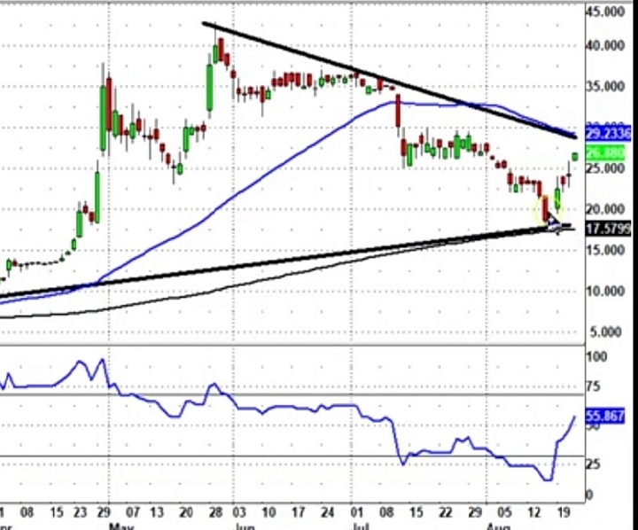 Proton Power neue Nachrichten neuer Kurs 1130327