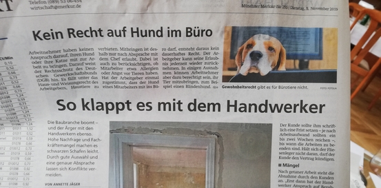 Wenn das Gold redet, dann schweigt die Welt! 1142703