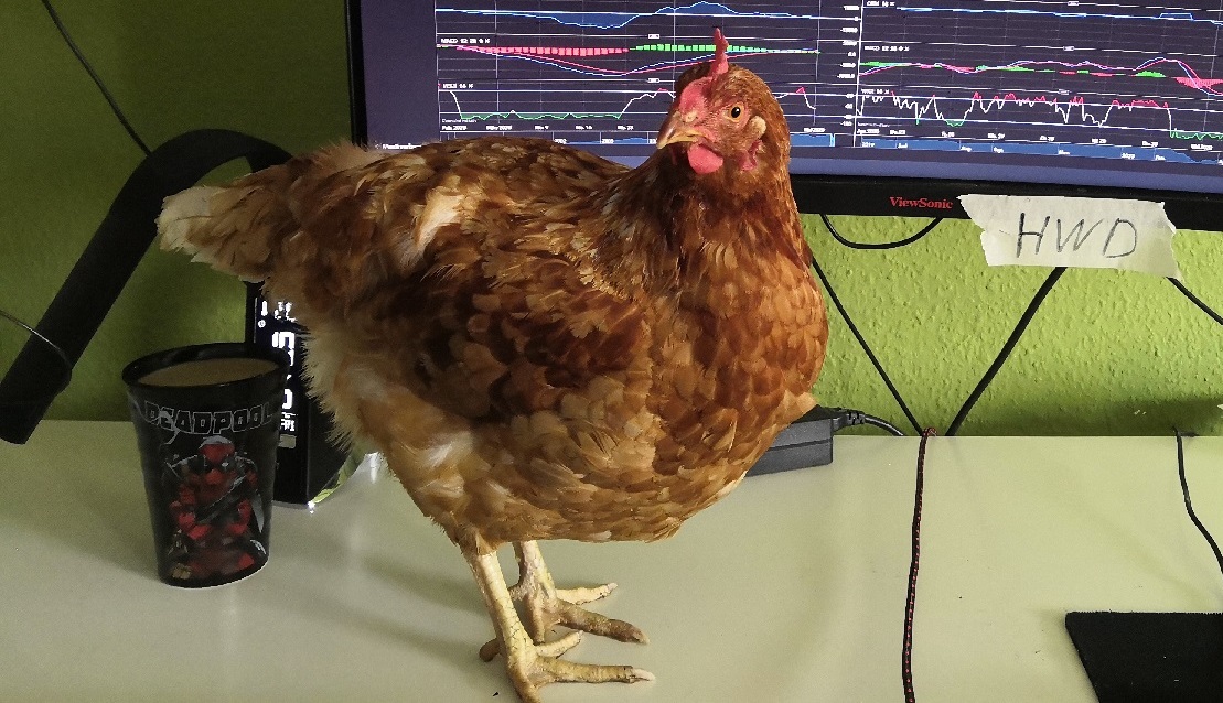 2021 QV-GDAXi-DJ-GOLD-EURUSD- JPY 1251977