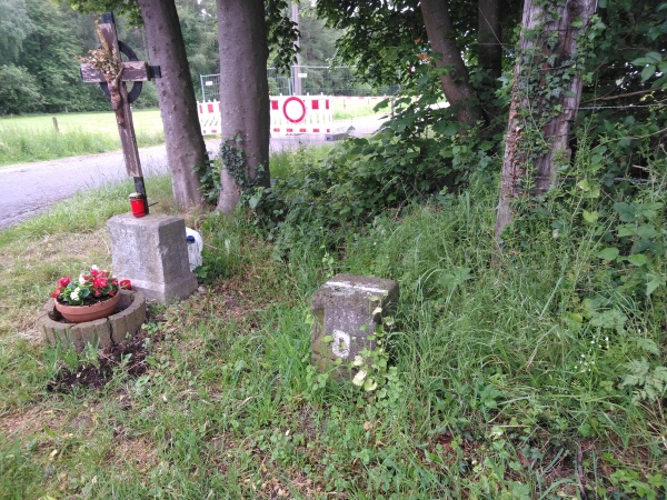 Paion: Daten / Fakten / Nachrichten / Meinungen 1181798