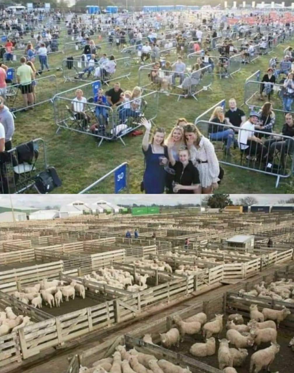 Wenn das Gold redet, dann schweigt die Welt! 1351394