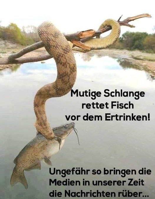 Wenn das Gold redet, dann schweigt die Welt! 1360310