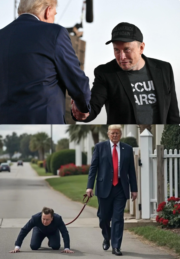 Tesla - Autos, Laster, Speicher und Solardächer 1450369