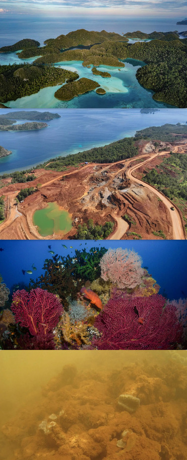 TESLA Aktie A1CX3T - wann platzt die Blase? 1484893