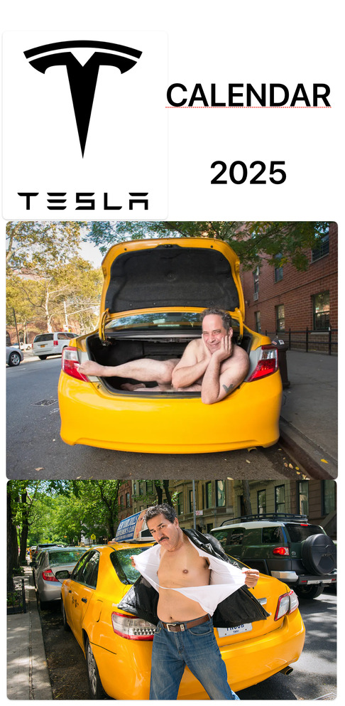 TESLA Aktie A1CX3T - wann platzt die Blase? 1490844