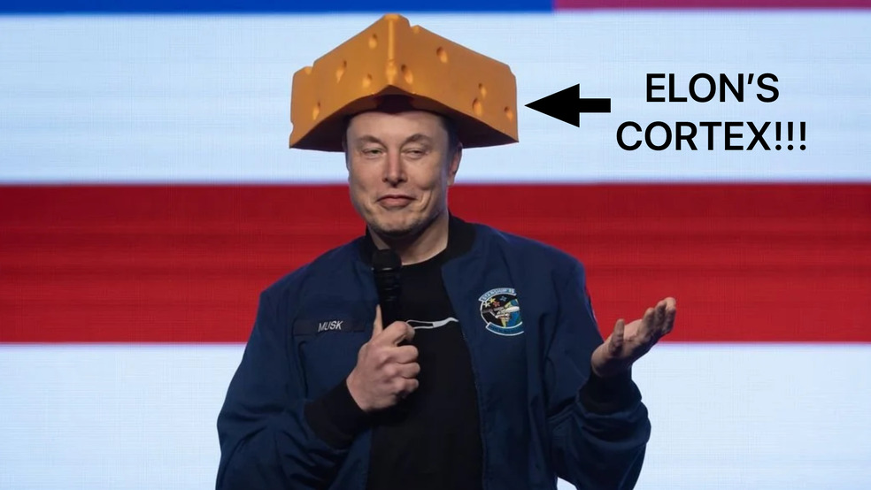 TESLA Aktie A1CX3T - wann platzt die Blase? 1490977