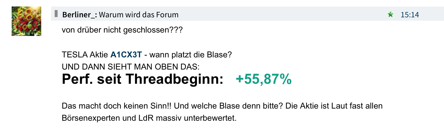 TESLA Aktie A1CX3T - wann platzt die Blase? 1491764
