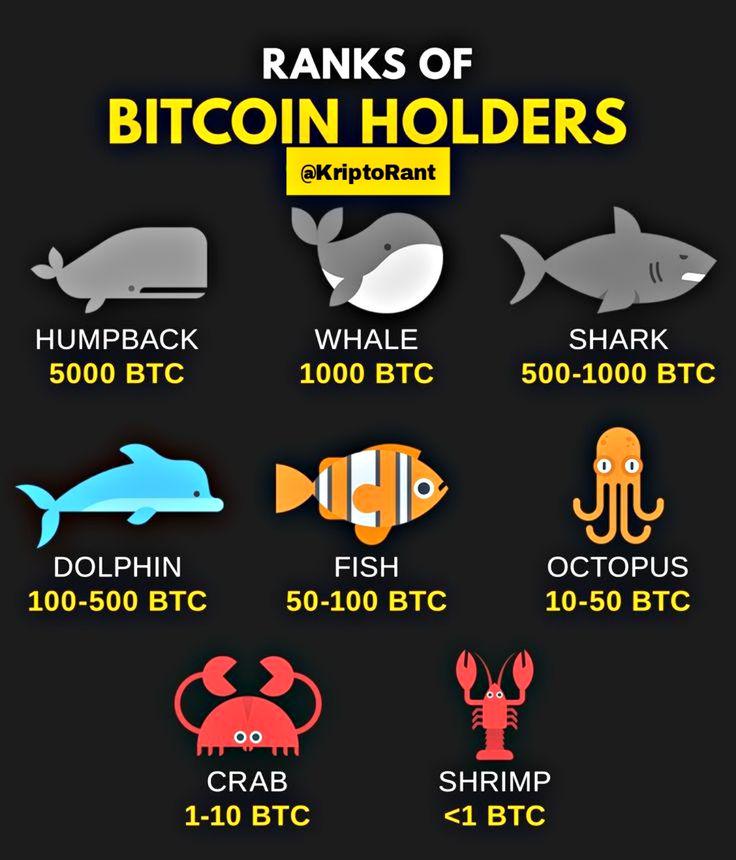 Bitcoin - mehr als eine Spekulationsblase? 1483180