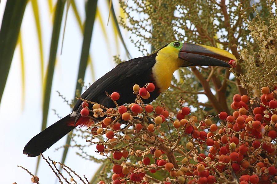 792.DAX Tipp-Spiel, Montag, 26.05.08, 17.45 Uhr 165255