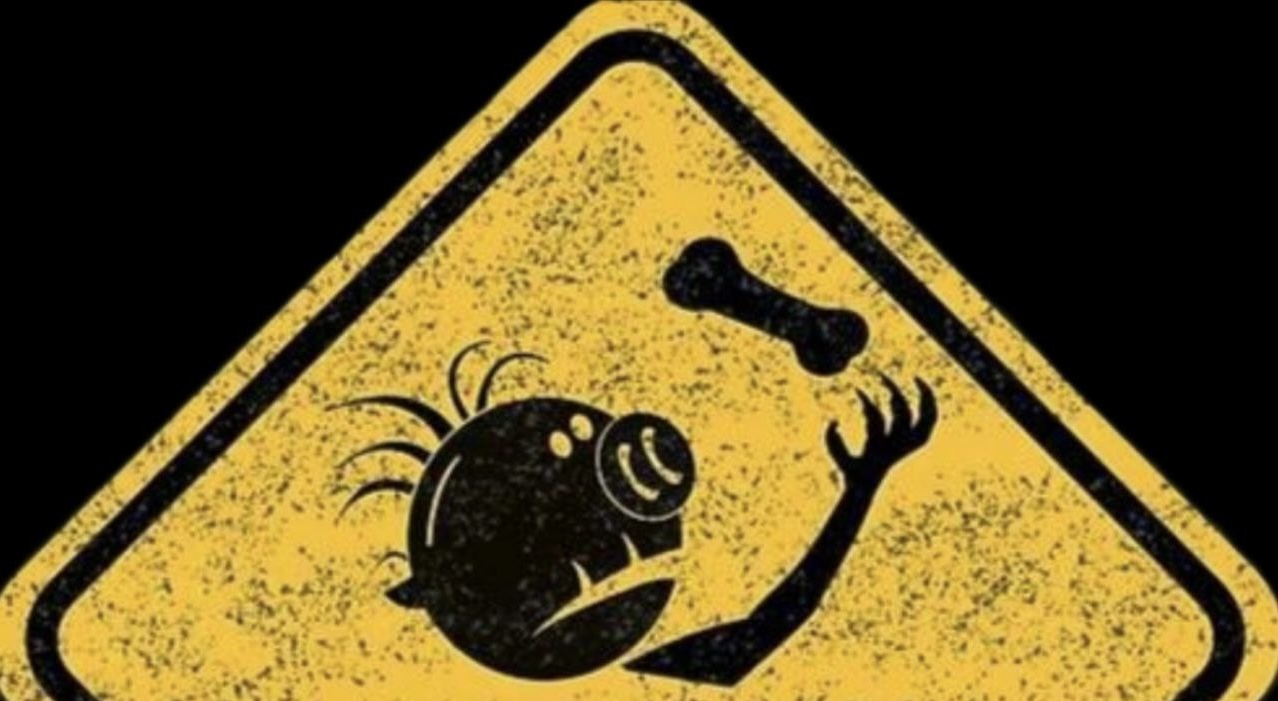 Bitcoin - mehr als eine Spekulationsblase? 1487238