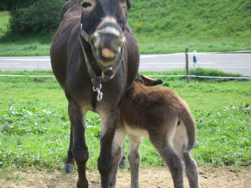 COOP News (ehemals: Wamu /WMIH) 754187