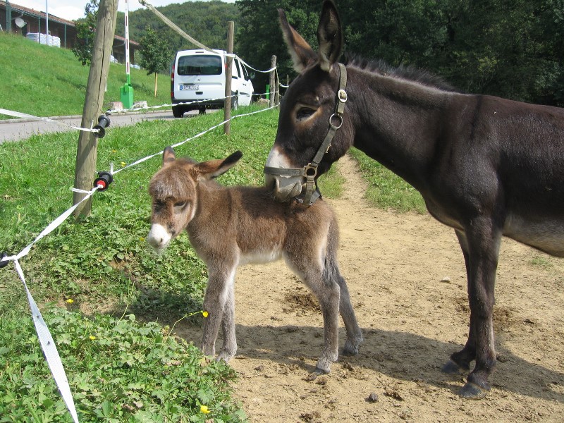 COOP News (ehemals: Wamu /WMIH) 754183