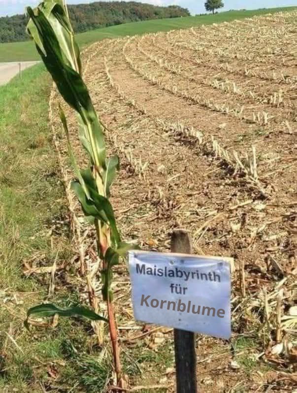 Bitcoins der nächste Monsterhype steht bevor! 1492331