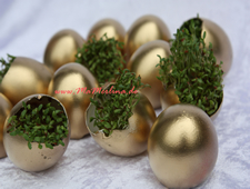 VG Gold ( ISIN: CA9182161021 ) 226750