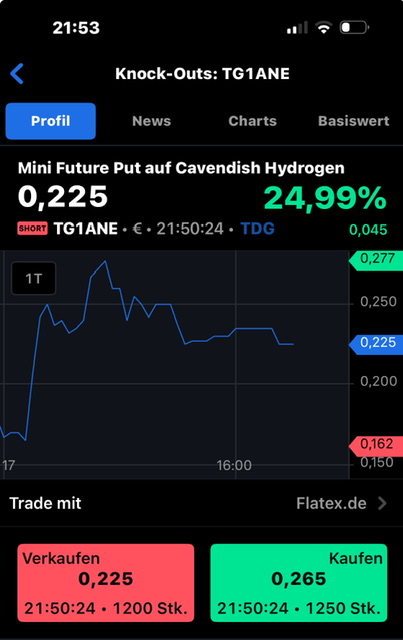 Nel Schlechte Aktie ohne Zukunft ??? 1467126